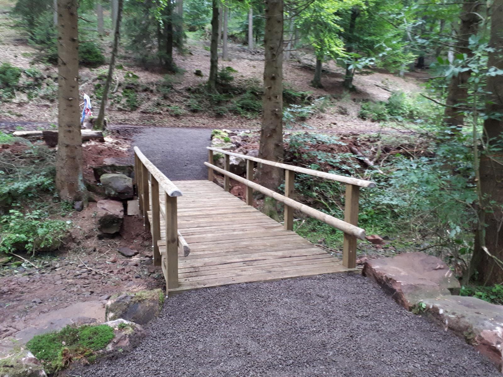 Brücke_Wald.jpg